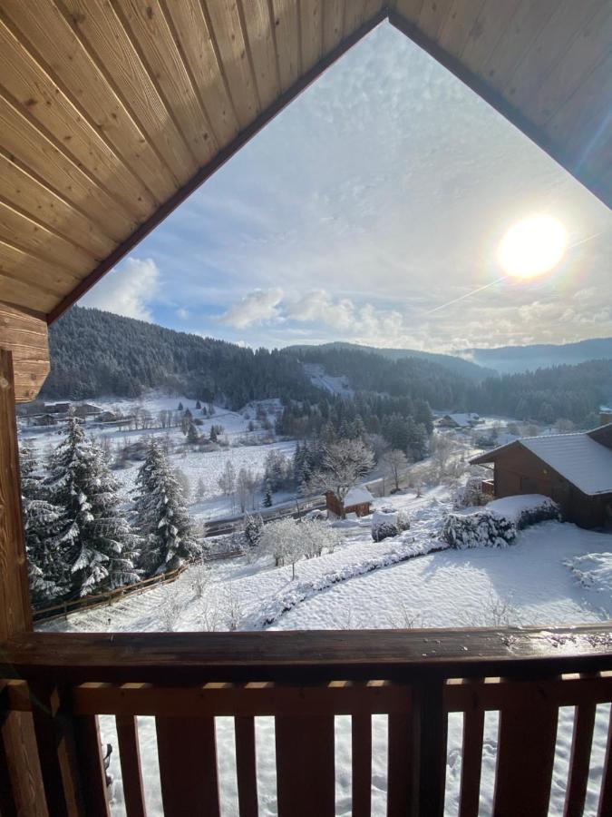 Chalet De La Grimpette Au Coeur De Gérardmer Zewnętrze zdjęcie
