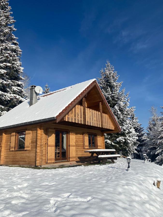 Chalet De La Grimpette Au Coeur De Gérardmer Zewnętrze zdjęcie